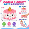 JimandGloria Paint Your Own Squishies